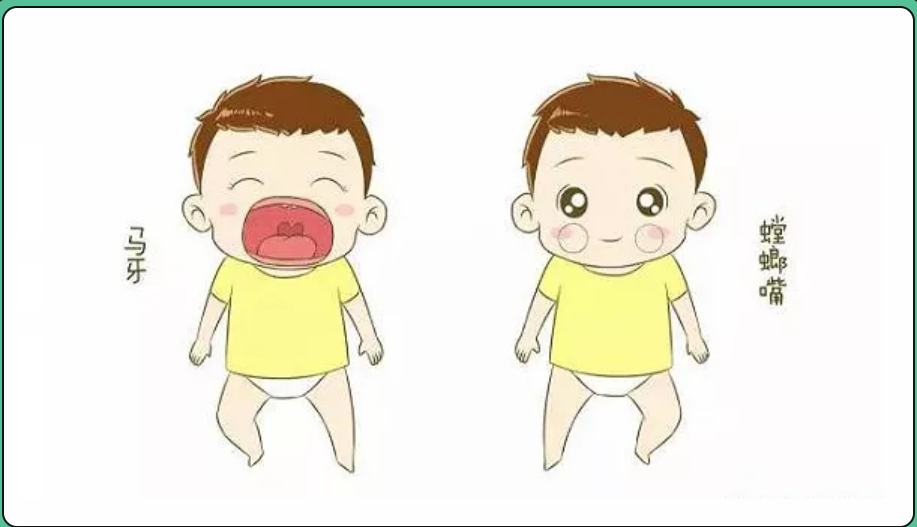 螳螂子和马牙